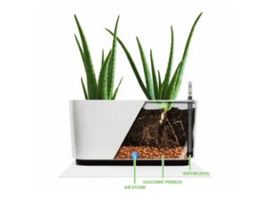 self watering flowerpot