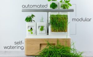 indoor garden