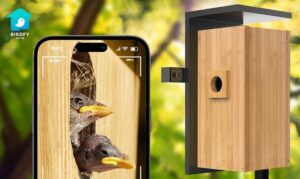 bird box with camera