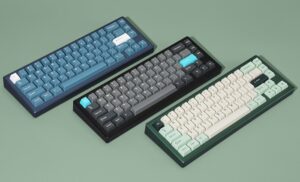 Drop MOMOKA Zoo65 mechanical keyboard