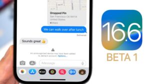 iOS 16.6.