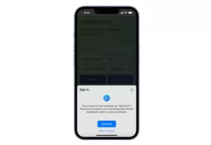 How to use Passkeys on iPhone