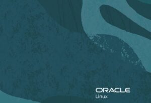 Oracle champions open and free Linux challenging IBM