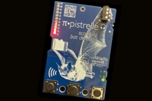 Raspberry Pi Pico Bat Detector
