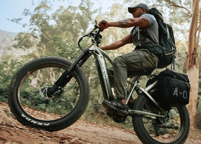 off-road eBike