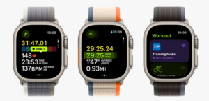 watchOS 10.1 beta 2