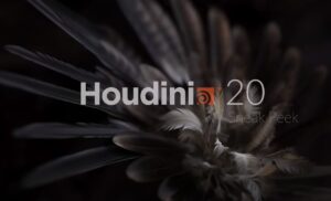 Houdini 20