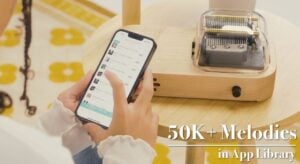 programmable music box