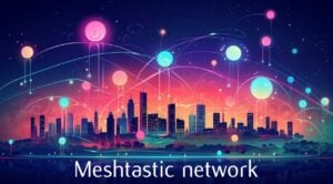LoRa Meshtastic network