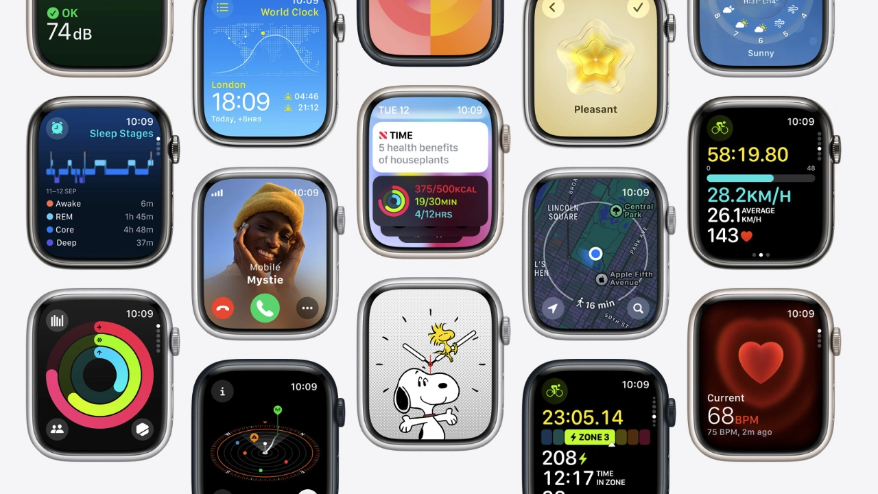 watchOS 10.2 Release Candidate