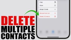 Delete iPhone Contacts