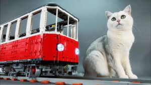 Building a LEGO train for cats