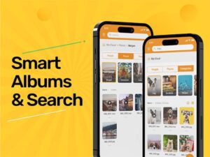 Amaryllo Cloud Storage