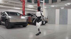 Building the Tesla Bot humanoid robot
