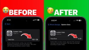 iPhone System Data