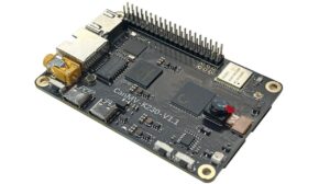 RISC-V Vector Processing board