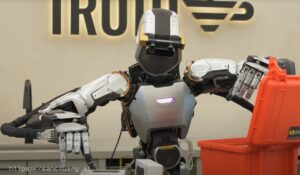 Humanoid Robots in 2024