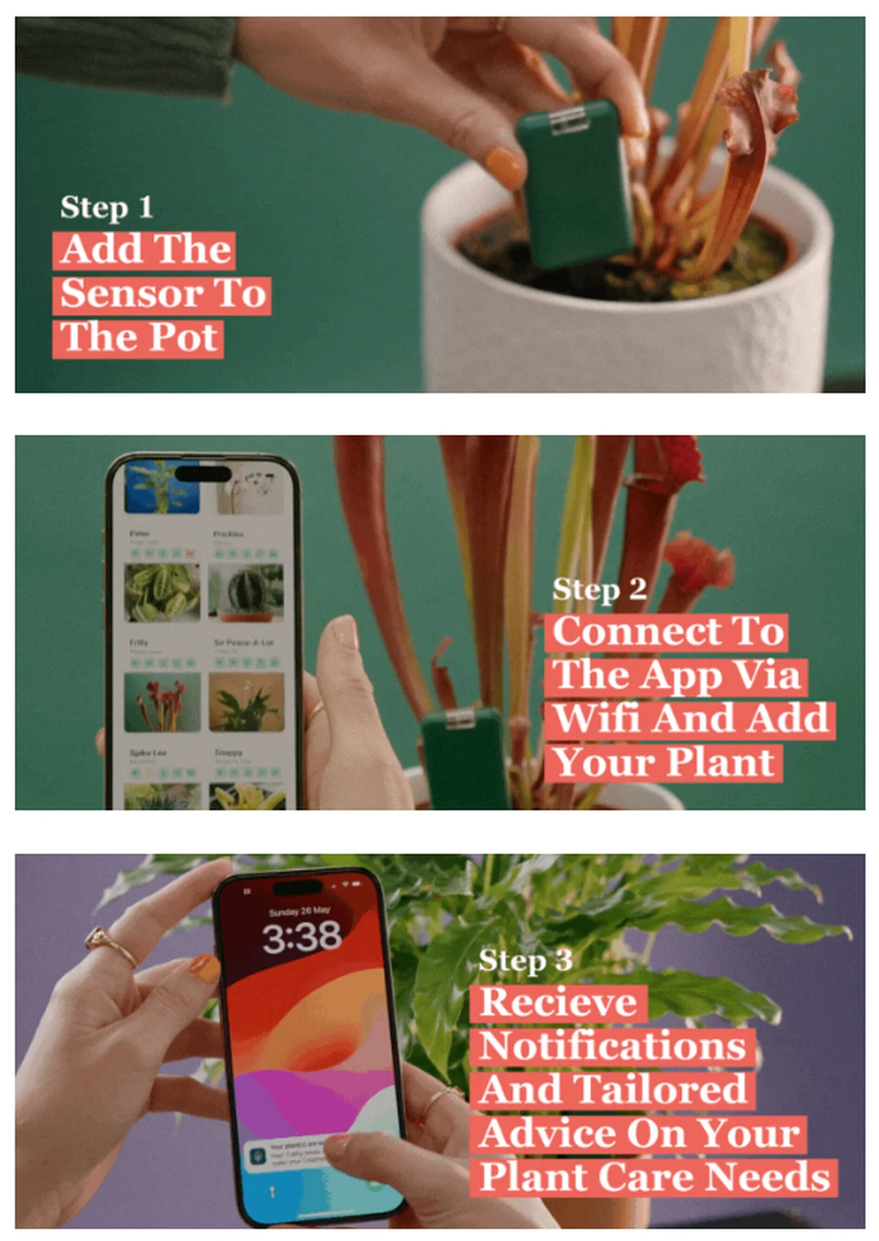 SmartyPlants step-by-step guide
