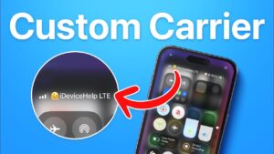 Custom Carrier