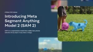 Meta SAM 2 Computer Vision AI