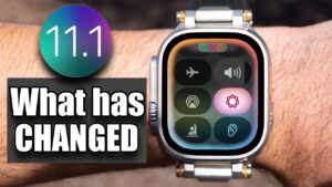 watchOS 11.1