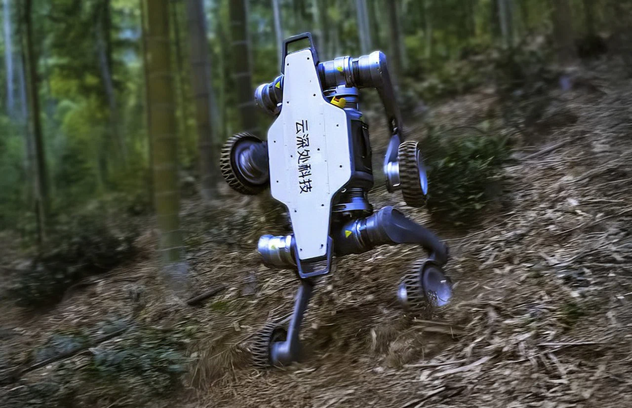 future of robotics and AI