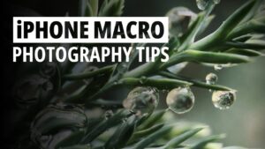 Macro Photography
