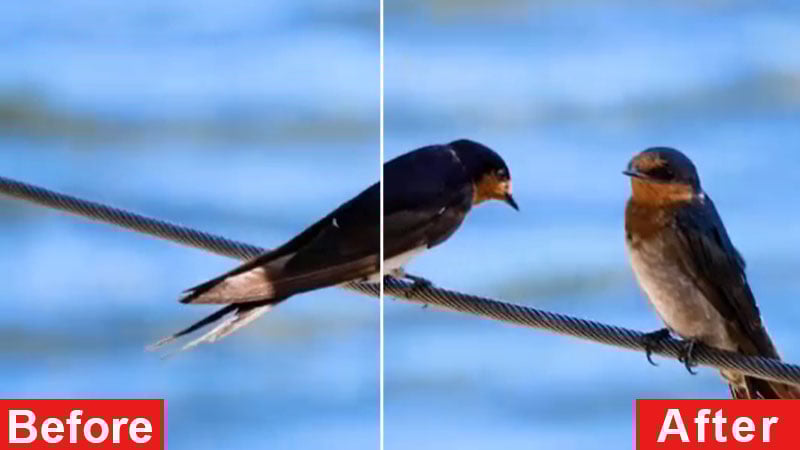 Stabilization AI