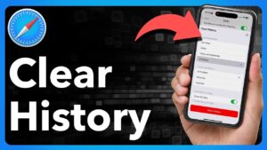 Safari History