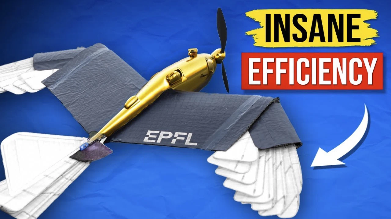 Morphing-wing drone showcasing innovative biomimicry design.