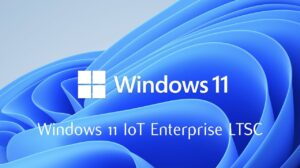 Streamlined Windows 11 OS designed for IT professionals and developers