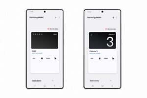Samsung Wallet