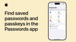 iOS 18 Passwords app interface showcasing saved credentials