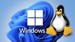 VirtualBox setup for running Windows on Linux