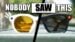 Meta Oakley HSTN and Ray-Ban Meta smart glasses side-by-side comparison