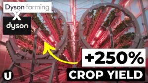Dyson’s innovative vertical farming system for sustainable food production