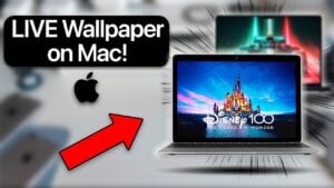 Walper app live wallpaper customization for macOS desktops