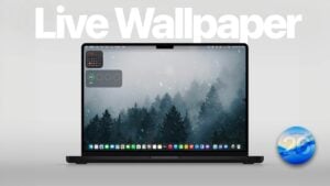How to set up live wallpapers on your Mac using the Walper app