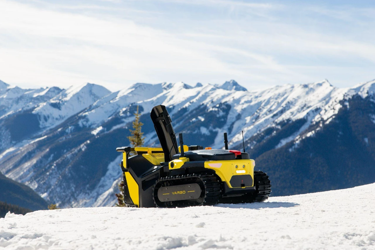 yarbo pioppo tremulo