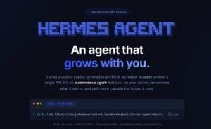 Local AI model settings screen highlights Hermes Agent customization options for advanced users and tinkerers.