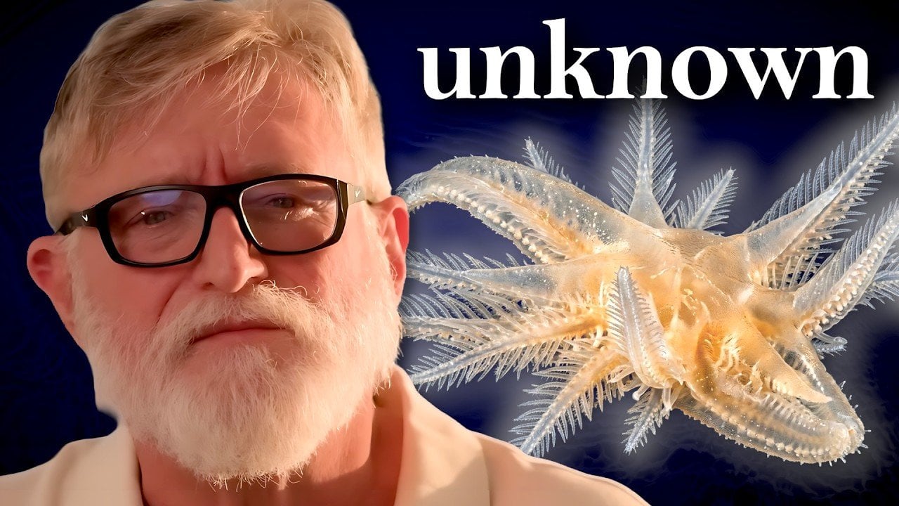 Unclassified marine organism discovered in a deep ocean trench