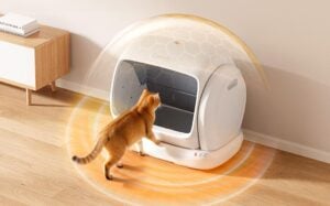 Meowant SC09