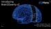 Visualization of brain activity decoded by Meta AI software.