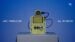 The fully assembled Gemma Translator device in its custom 3D-printed case