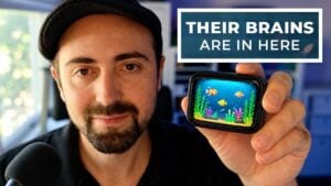 A small pocket-sized device displaying a digital fish tank interface.