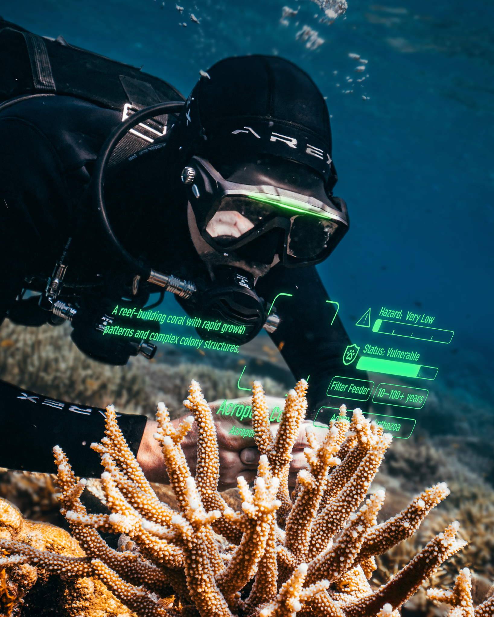 Arex Dive Computer