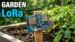 A completed DIY ESP32 LoRaWAN sensor node resting in a garden setting.